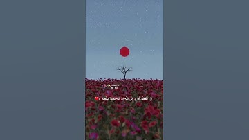 قرآن كريم بصوت جميل الشيخ اسلام صبحي حالات واتس اب راحه وهدوء صدقه لأبي