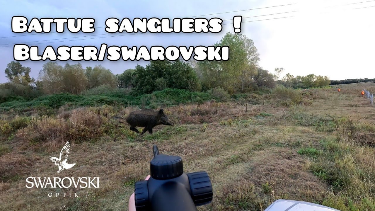☆Battue aux sangliers - Des tirs rapides ! 2025/2026☆