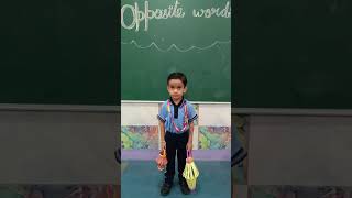 Fun Opposite Words Activity for Kids! | KG-I English Learning | Preschool Vocabulary Game
