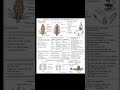 Biology PBA Imp Labelling Diagrams - Bio Exam - Bio PBA #biologyclass #preboard #practicepapers #pra