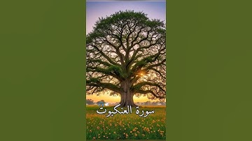 سورة العنكبوت #ألابذكر_الله_تطمئن_القلوب