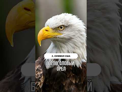 Факты о Флориде