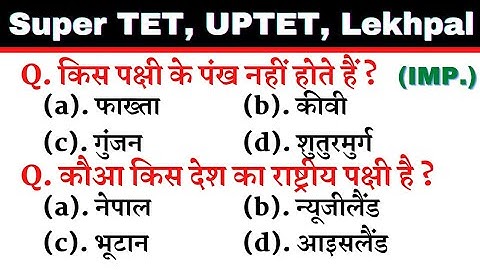 Super TET 2022 || UPTET 2022 Important Questions || Super TET || UP LEKHPAL || SSC || RRB || REET