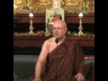 La mente - Charla del Dhamma 24-02-2017