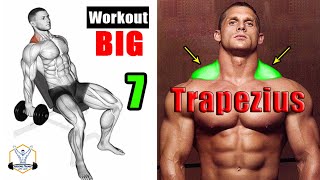 افضل 7 تمارين لضخامة الترابيس | Trapezius exercises