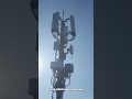Massive MIMO Unleashed: Beamforming Secrets Powering 5G/6G!