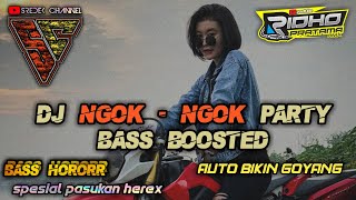 DJ NGOK - NGOK PARTY BASS BOOSTED MELODY SANTUY TERBARU || auto bikin goyang by sredek channel