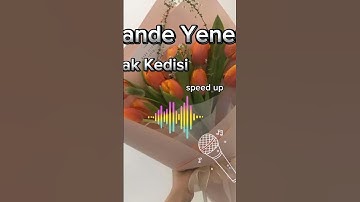 Thumbnail of Hande Yener sokak kedisi #lyrics #speedup #song #music