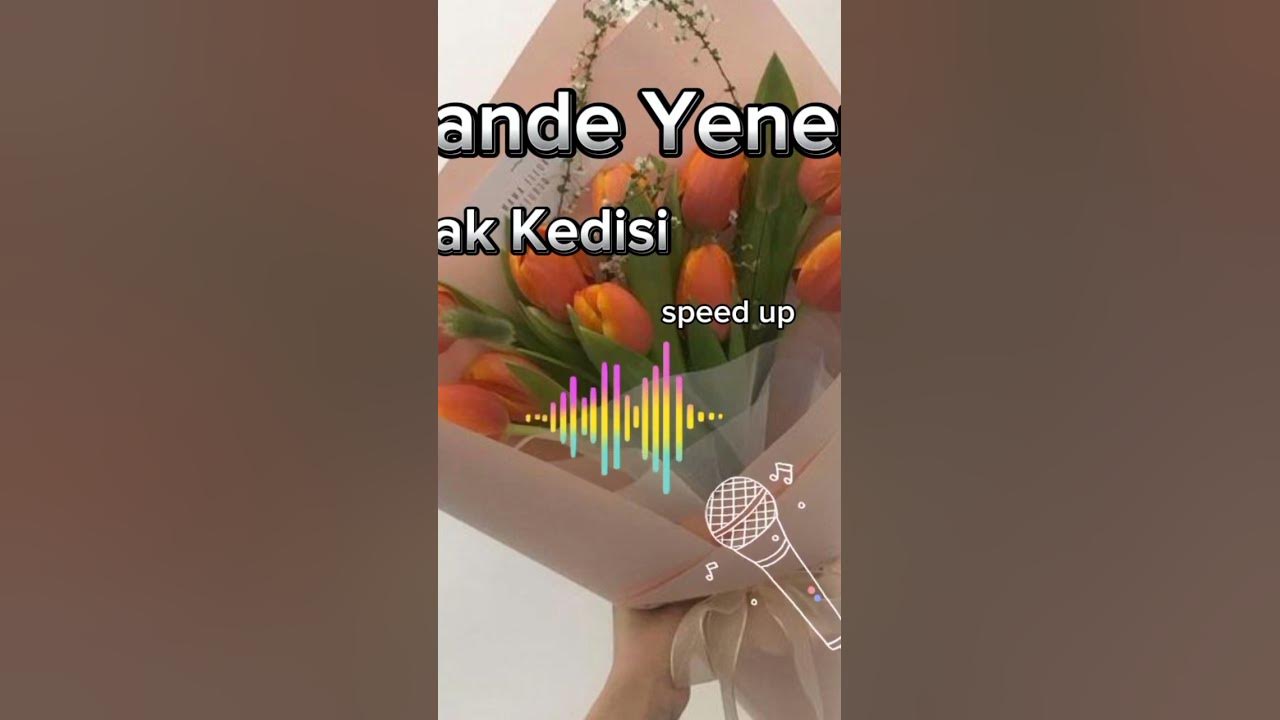 Hande Yener sokak kedisi #lyrics #speedup #song #music