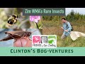 Frigid Bees &amp; Rare Grasshoppers - Clinton&#39;s Bog ventures - Sax-Zim Bog Zim WMA September 2021