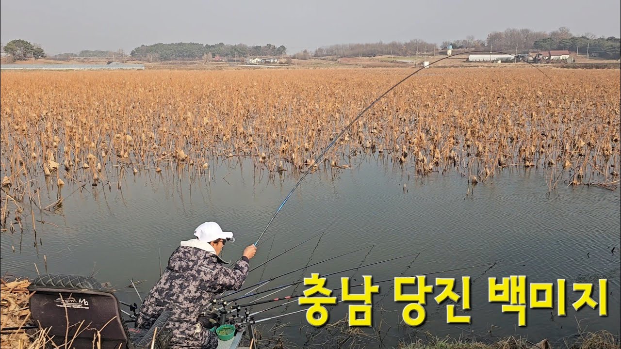 미칠뻔 했습니다!! 모든걸 포기 하고 철수.. 😢