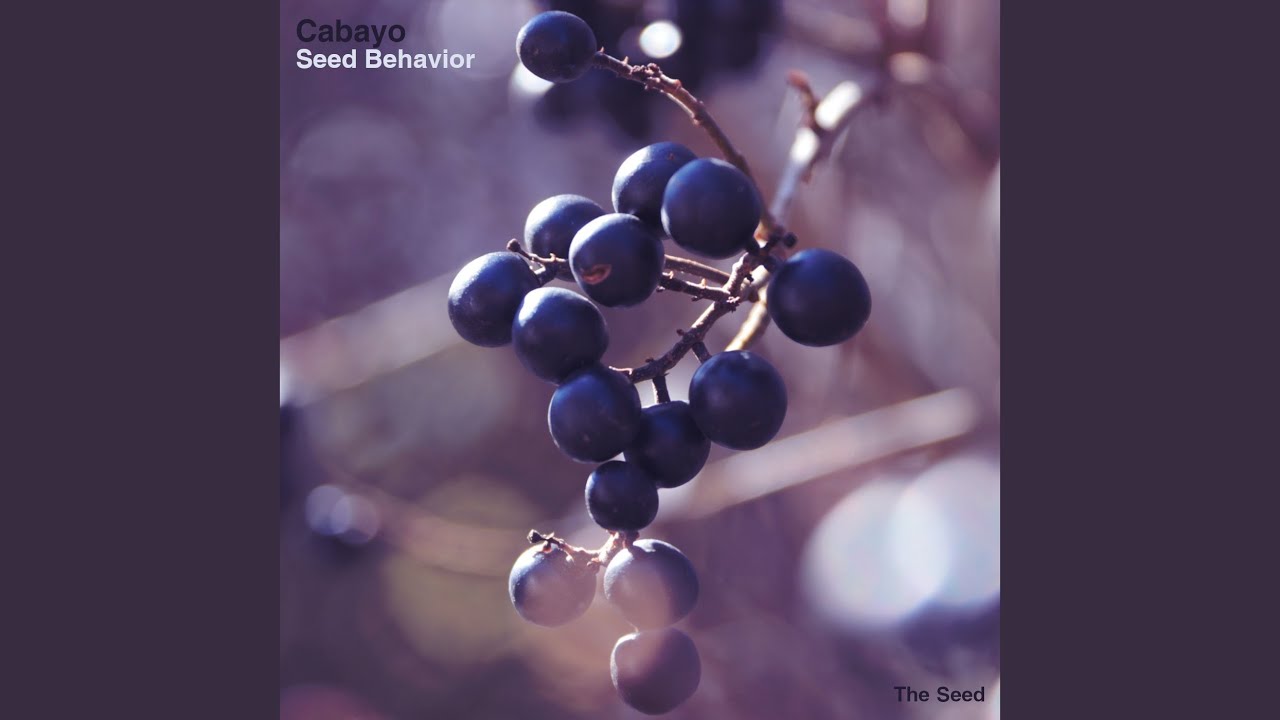 Watch Behaviour (Original Mix) on YouTube Watch Behaviour (Original Mix) on YouTube