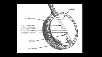 How To Hold & Tune The Plectrum Banjo with Eddie Peabody