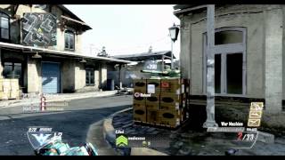 eX Luigi: Multi-CoD Montage 4