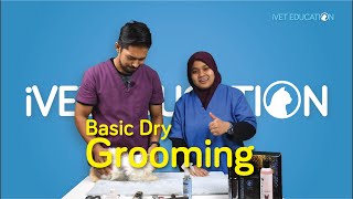 iVET EDUCATION [Basic Dry Grooming] by Dr. Ku Atiqah & Aiman