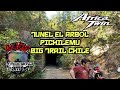 Túnel el árbol Pichilemu - Big Trail