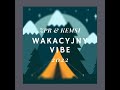 Zpr  kemsi  wakacyjny vibe