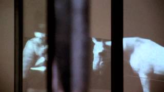 Joseph Beuys Iphigenie Galerie Thaddaeus Ropac Paris - Pantin 2012