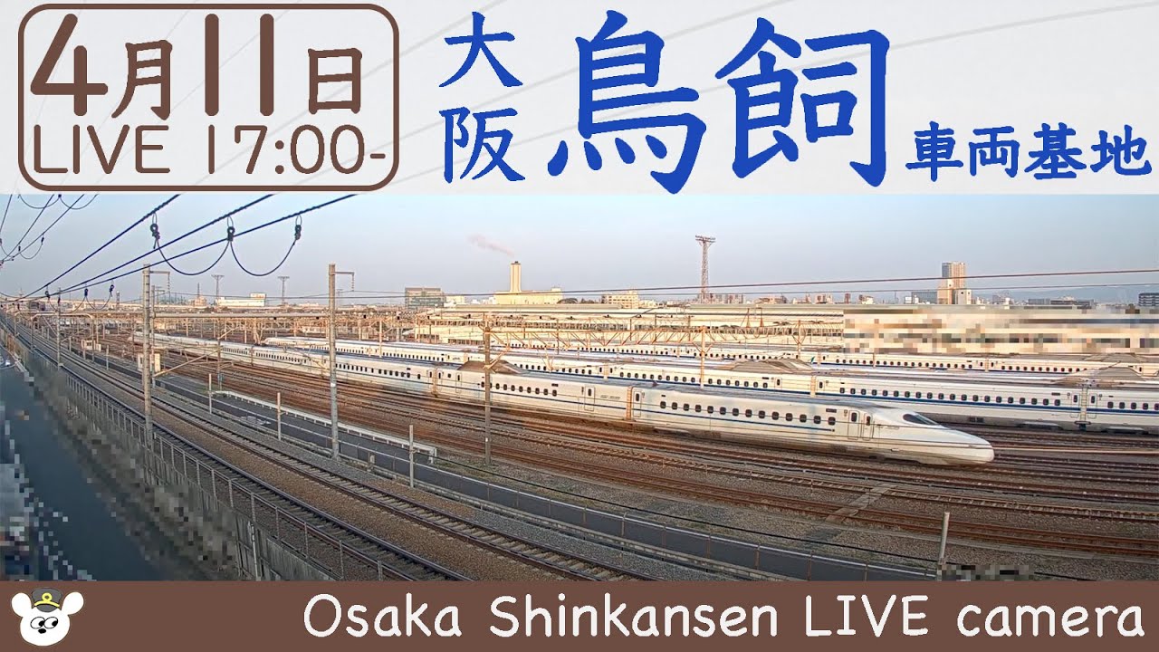 LIVE　VIDEO　5　Tokai　No　Rakuda　Special　at Live Video 5 Tokai No Rakuda Special At Saitama Super Arena