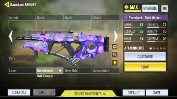 My Razorback Gunsmith loadout