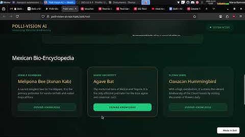 Polli-Vision AI | Hackathon Bolt x MiniMax VIBE HACKERS