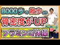 【骨を強化】ウォーキングよりもっと簡単に骨粗鬆症で減った骨密度を強化する1分で出来るダイナミックフラミンゴ体操