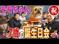 【家族大集合😃】はなわ家【愛犬】モモちゃんお誕生日会🎉（7歳）犬用ケーキ爆食🐶家族でピザパーティー🍕【PIZZA-LA】【飯テロ】【フレンチブルドッグ】