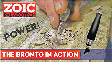 The Bronto - POWERFUL Fossil Preparation Air Scribe