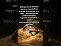 El futuro no existe. Solo esto importa #presente #consciencia #verdad