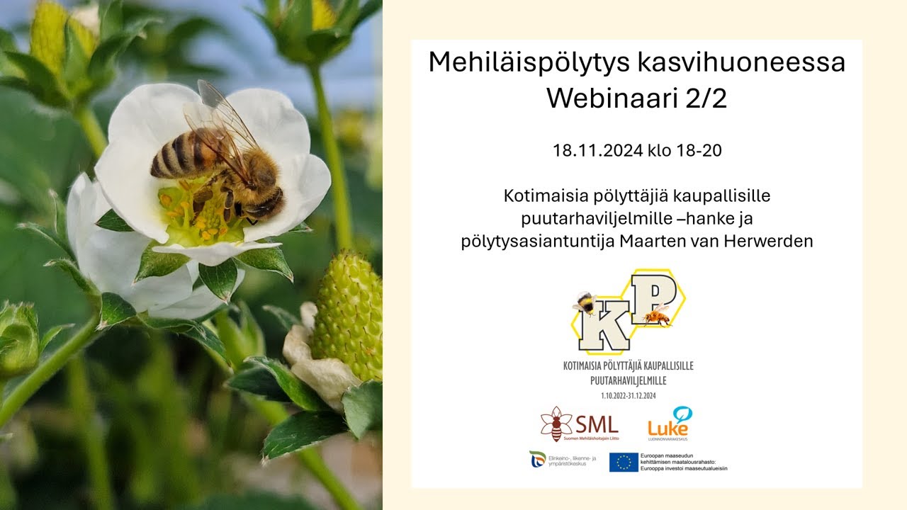 Mehiläispölytys kasvihuoneessa. Luento 2/2.