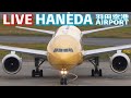 🔶LIVE📡 '25/11/11 羽田空港 T2 Tokyo International Airport HANEDA T2 plane spotting