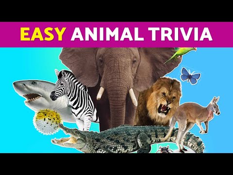 🐾 Fun Trivia Quiz for Kids! 🐾 Test Your Animal IQ with These Easy Questions!🐵🦓