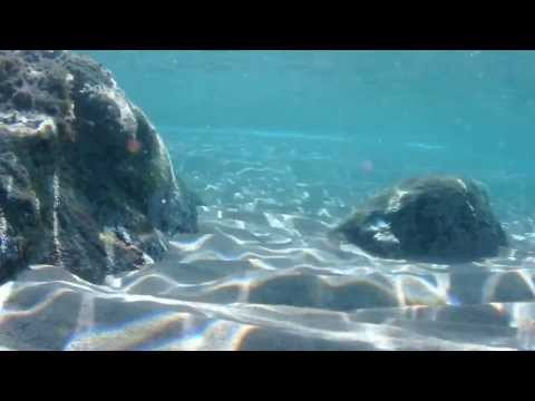 João Gilberto - Desafinado (Off-Key)