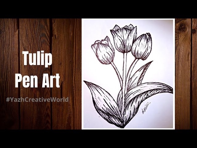 Tulip Pen Sketch, Original Drawing, Pen and Ink, Tulip Drawing, Tulip  Flower, Flower Drawings 