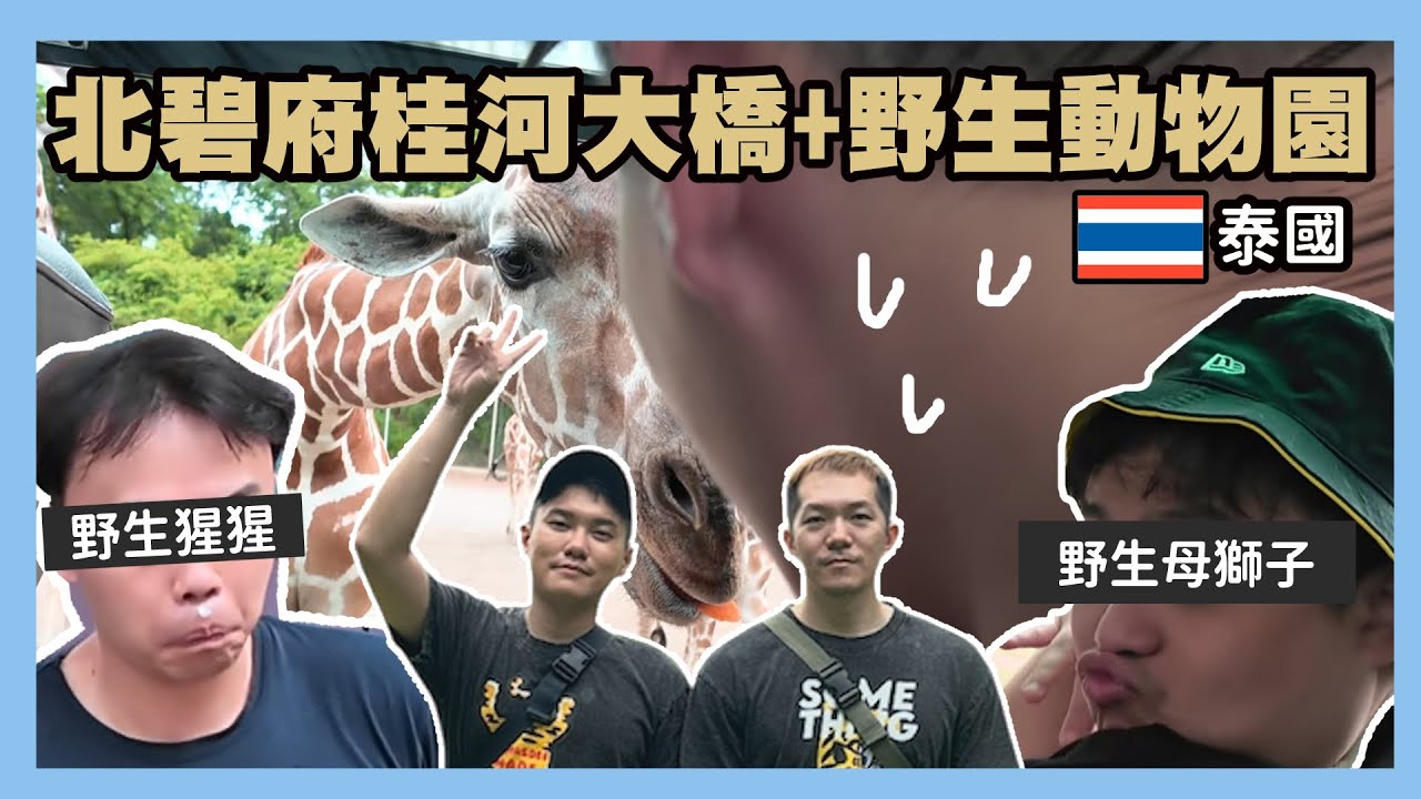 泰國北碧府桂河大橋跟野生動物園一日遊！要被長頸鹿嚇死ㄌ啦！｜廢片日常