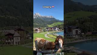 Leogang Town Salzburg Austria Eu