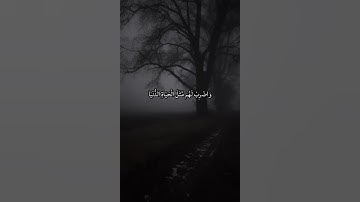 سورة الكهف #القرآن_الكريم #القرآن #المصحف #اكسبلور #لايك #راحة_نفسية