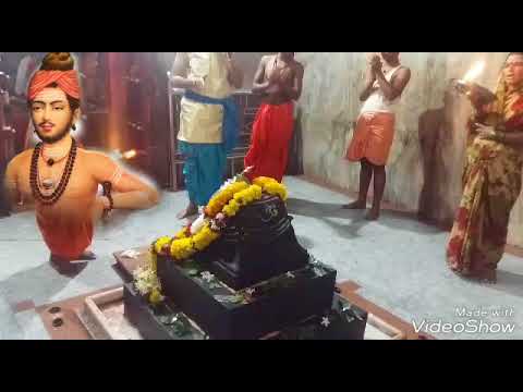 Dr shivling shivachry maharaj  anushtan kapiladhar 7