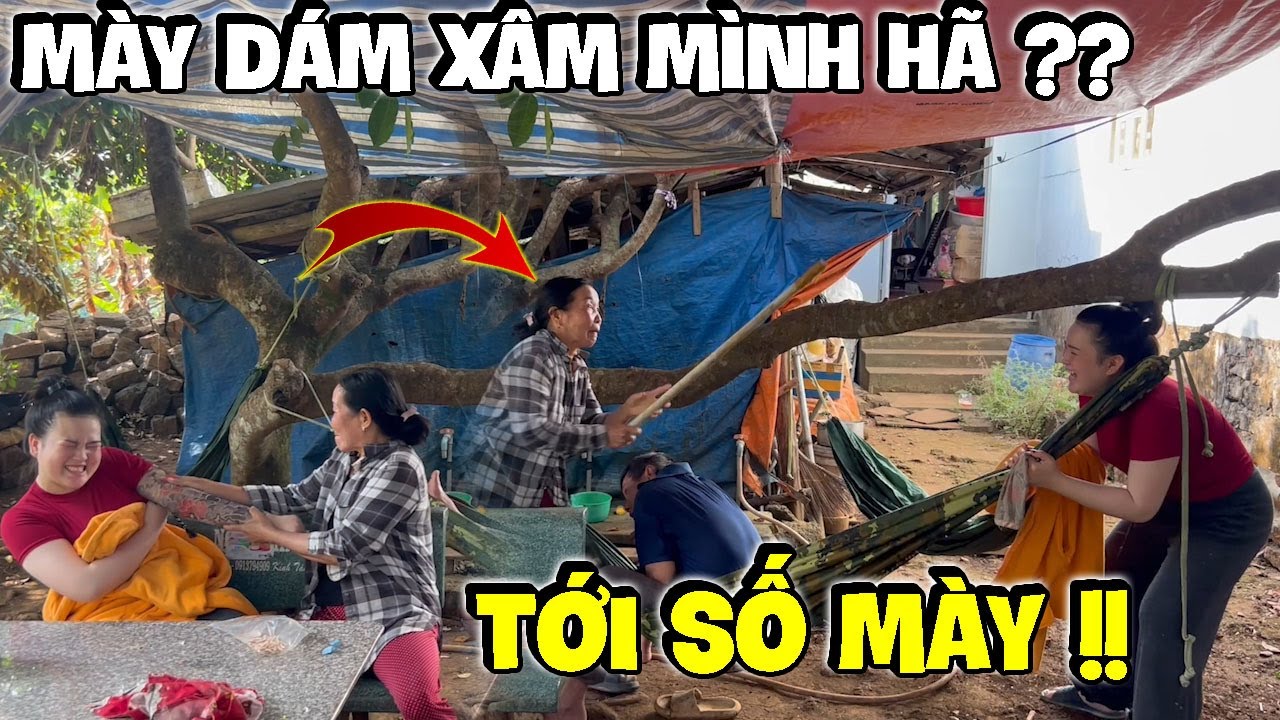 Cô Con Dâu Báo Xăm Kín Tay Khiến Dì Hương Nóng Máu | Hải Ka Vlogs