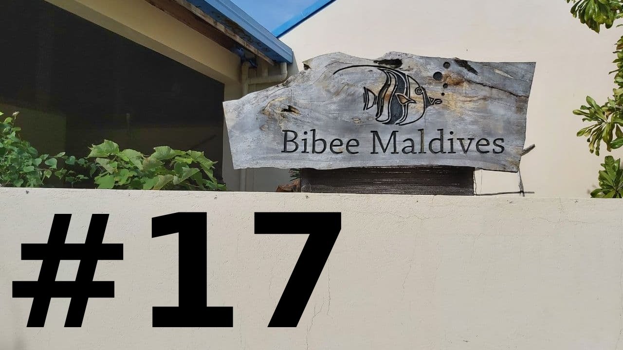 Bibee Maldives guesthouse resort review - Dhiffushi, Maldives | Обзор отелей на острове Дифуши