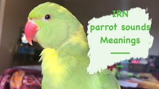 Sounds INDIAN RINGNECK PARROTS make | meanings screenshot 5