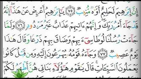 مصحف التجويد صفحة 230 إبراهيم الأخضر 🕋🕋