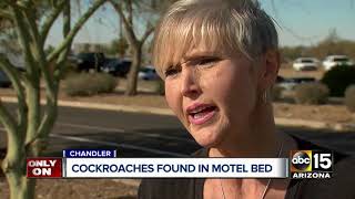 Customers Find Roaches In Chandler Inn Motel Room