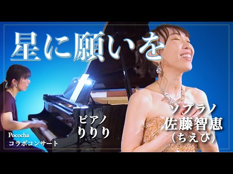 ソプラノ歌手 Taku Watanabe♪世界で一番音楽家×自然の写真を撮ってる写真家
