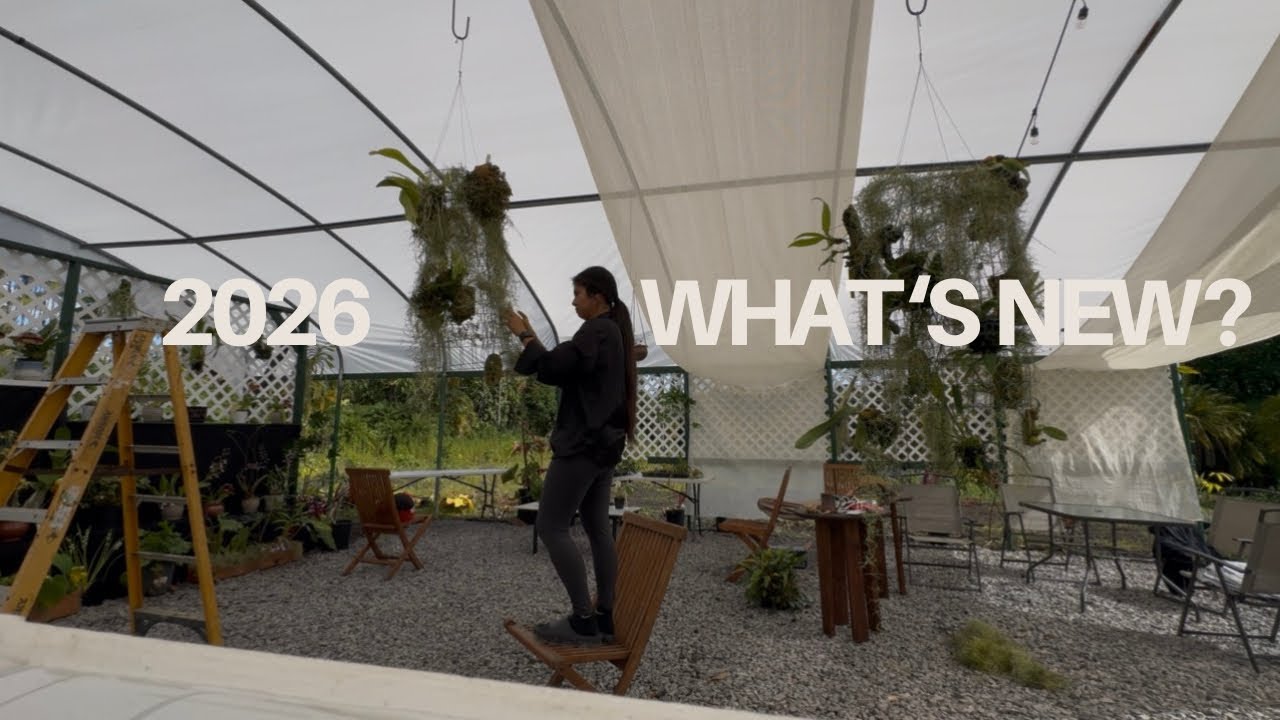 ปีก็ใหม่ ร้านก็ใหม่จ้า