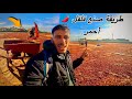 part1عملية صنع فلفل احمر في المغرب 🌶️🔥شوفوا شنو كيوقع هنا ‼️
