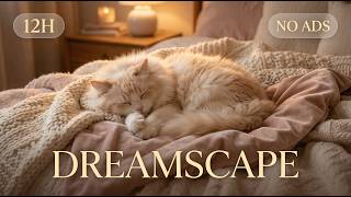 Premium 12H Cat Music | NO ADS | Deep Sleep & Stress Relief Sanctuary