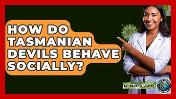How Do Tasmanian Devils Behave Socially? - Earth Science Answers