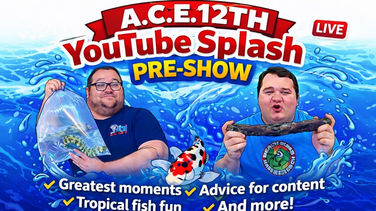 A.C.E. 12th YouTube Splash Pre-Show