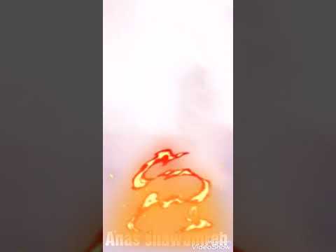 بيخ وعو يحيى